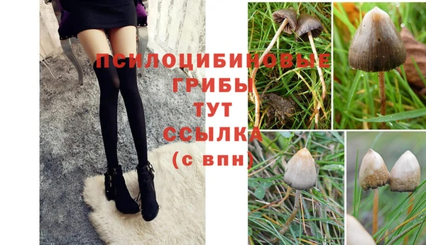 прущие крисы Гусев
