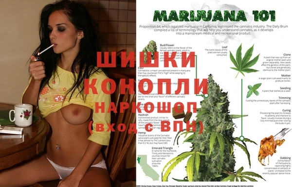 прущие крисы Гусев