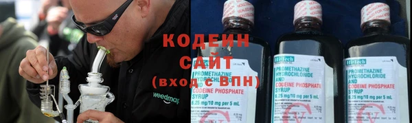 прущие крисы Гусев