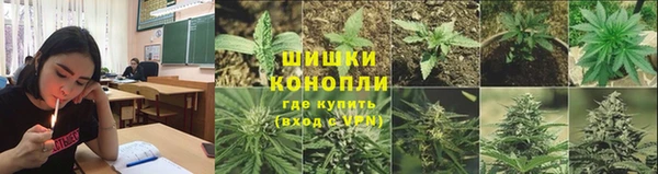 прущие крисы Гусев