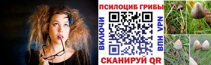 Галлюциногенные грибы прущие грибы  Купить  Маркс 